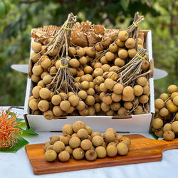 Collection of Fresh Longan Vietnam, Dimocarpus Dragon Eye - 1 Bag ( From 2-3 Lbs ) in a gallery layout