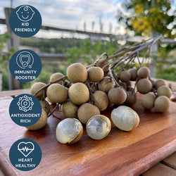 Collection of Fresh Longan Vietnam, Dimocarpus Dragon Eye - 1 Bag ( From 2-3 Lbs ) in a gallery layout