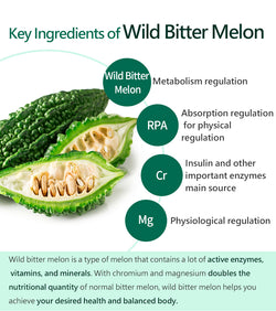 Collection of Wild Bitter Melon - 100% Natural Dehydrated (100g -3.5oz) in a gallery layout