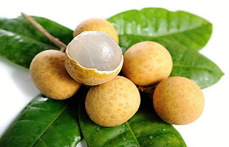 Collection of Fresh Longan Vietnam, Dimocarpus Dragon Eye - 1 Bag ( From 2-3 Lbs ) in a gallery layout