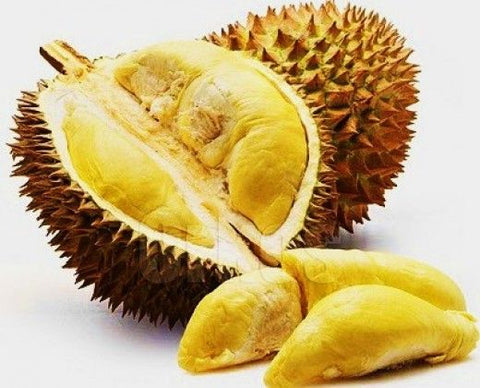 Musang King Malaysian Durian (D197) (猫山王榴莲) From 3.5 to 4.5 Lbs