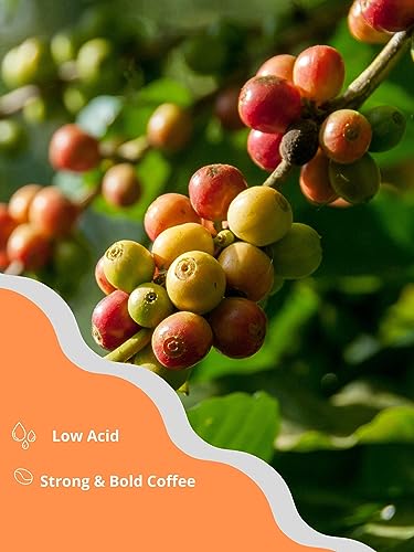 Collection of Vietnamese Coffee - Explore Your Taste- 3 in1 Instant Coffee, 20gr X 20 Bags (20 Packs) in a gallery layout