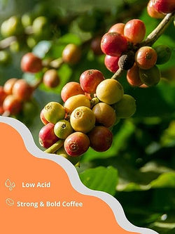 Collection of Vietnamese Coffee - Explore Your Taste- 3 in1 Instant Coffee, 20gr X 20 Bags (20 Packs) in a gallery layout