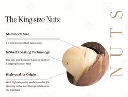 Collection of Ong Ba Premium Vietnamese Roasted Macadamia Nuts, Unsalted, Pre-shelled | 250g | 8.8 oz | in a gallery layout