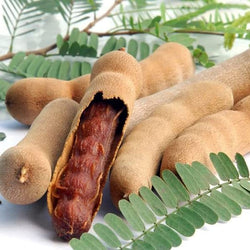 Collection of Dried Sweet Tamarind, Whole Tamarind Fruit – 100% Natural, No Sugar Added - 1 Lb (454g) Product of Thailand in a gallery layout